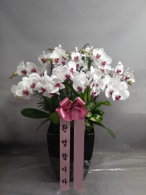 ����� ȣ����