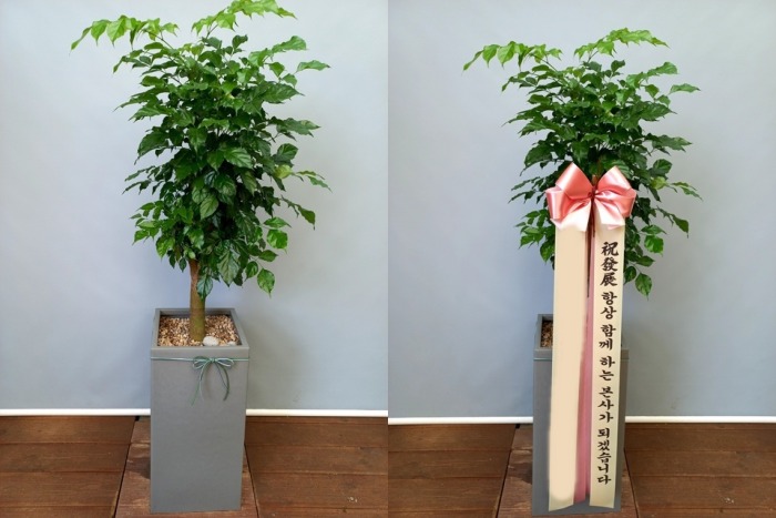 ����ȭ�� �캸��