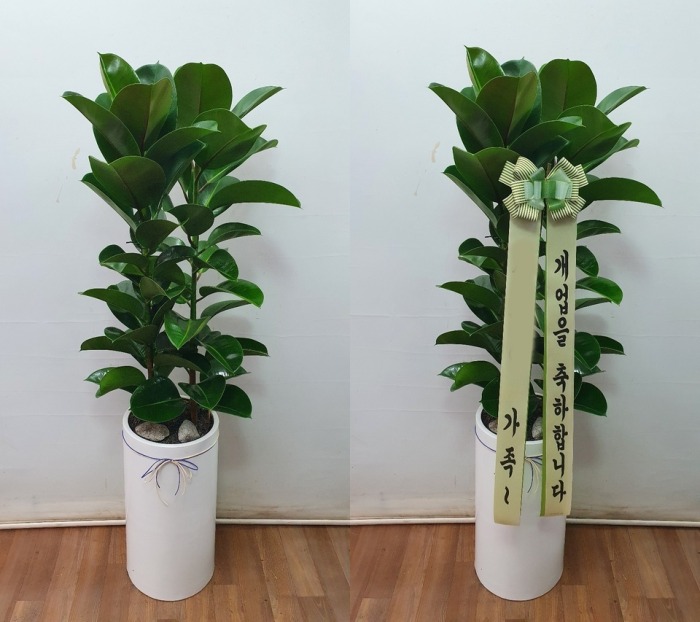 ����ȭ�� ��������