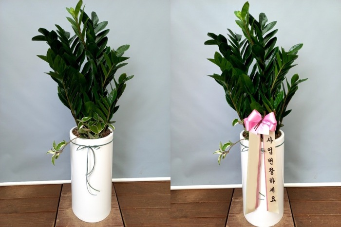 ����ȭ�� ������