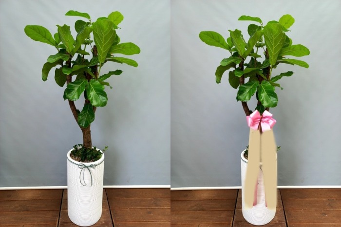 ����ȭ�� ������������