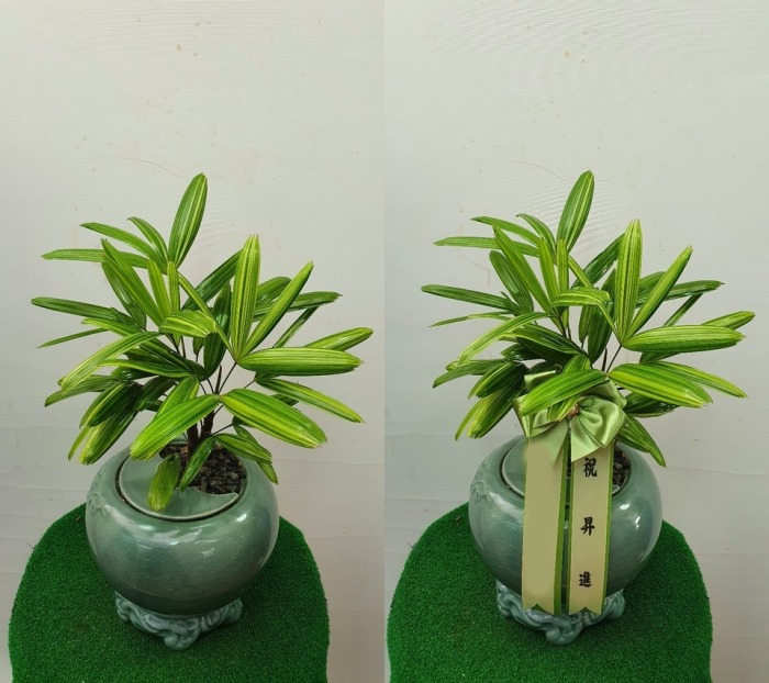 ����ȭ�� ���̰�����