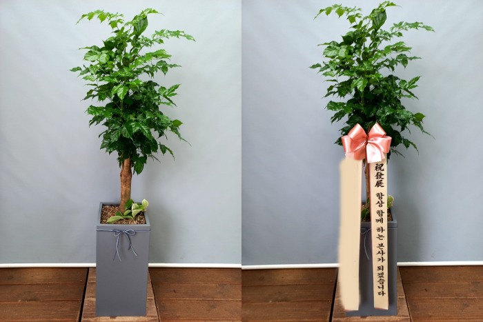 ����ȭ�� �캸��