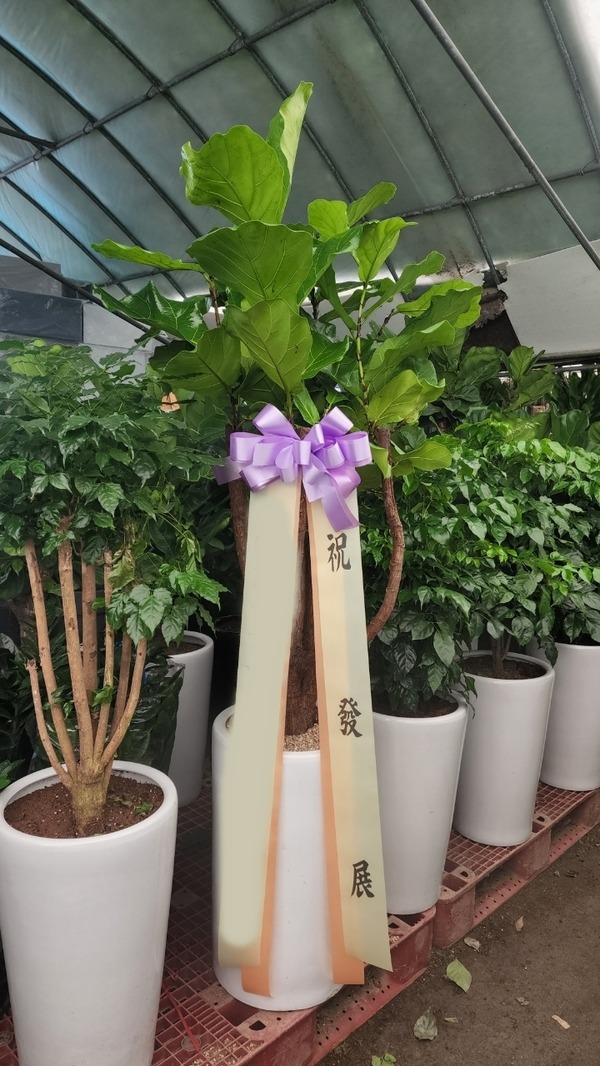 ����ȭ�� ������������