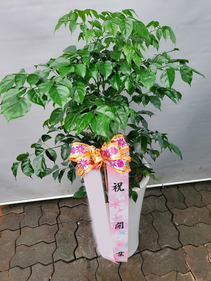 ����ȭ�� �캸��