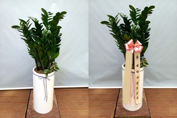 ����ȭ�� ������