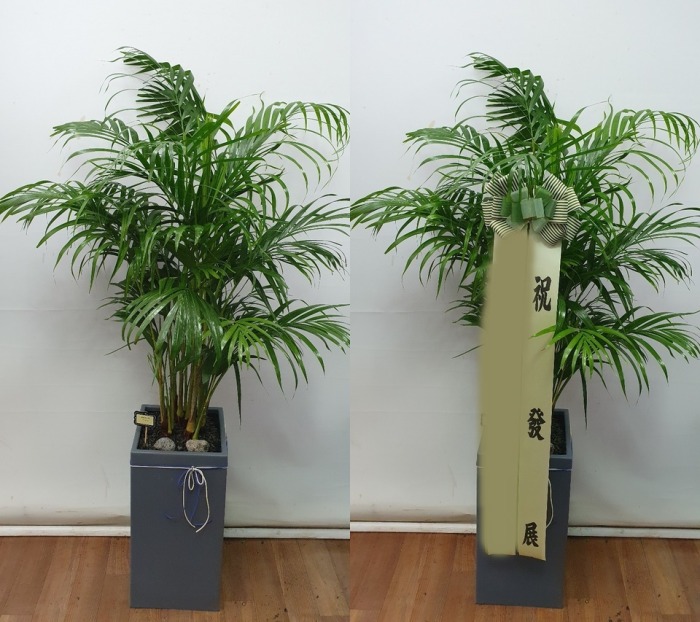 ����ȭ�� �Ʒ�ī����