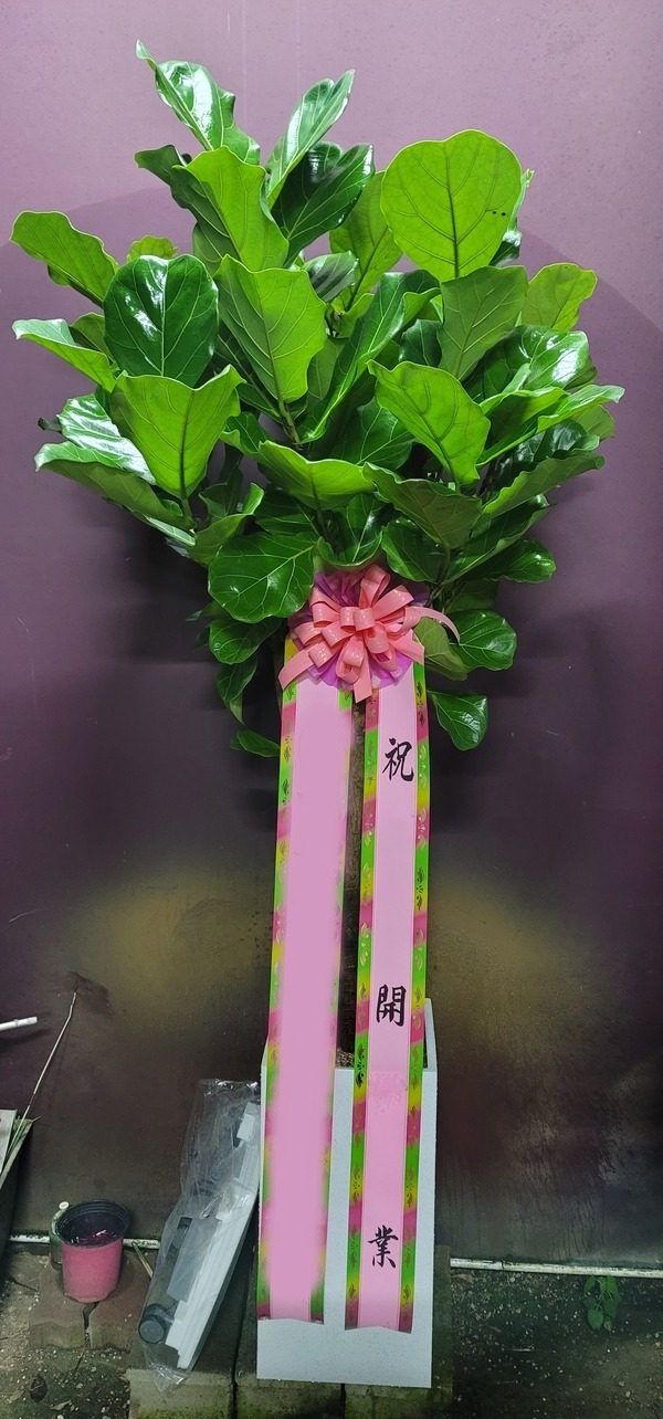 ����ȭ�� ������������