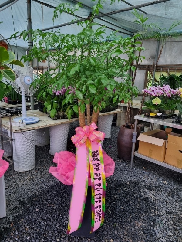 ����ȭ�� ����Ʈ��