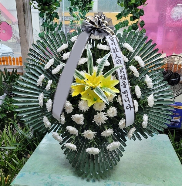 �����ٱ���