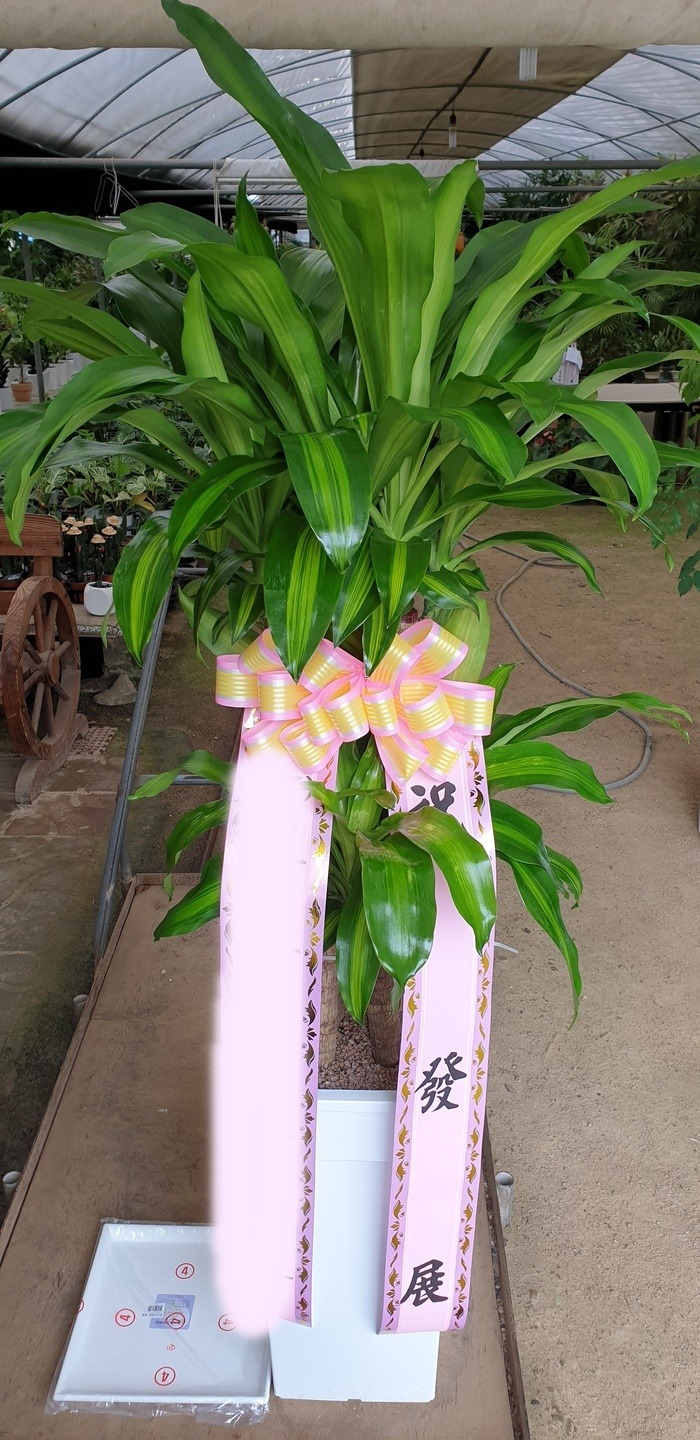 ����ȭ�� ����