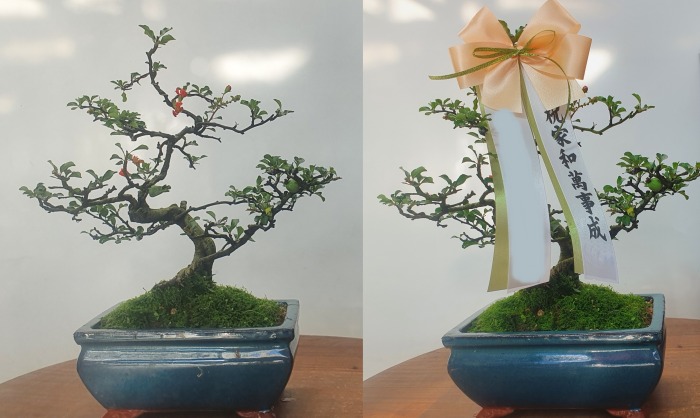 ���� �����