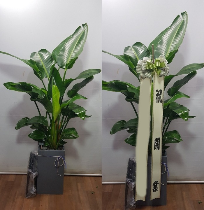 ����ȭ�� �ض���