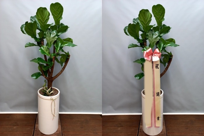 ����ȭ�� ������������