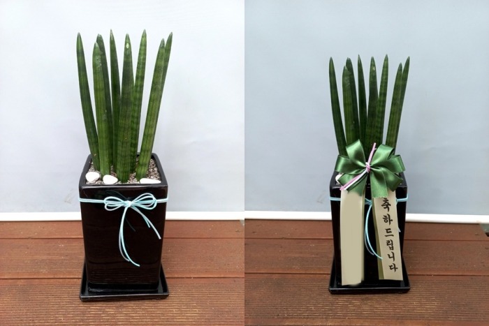 ����ȭ�� ����Ű