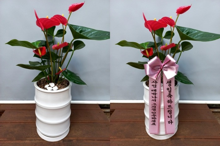 ����ȭ�� �Ƚø���