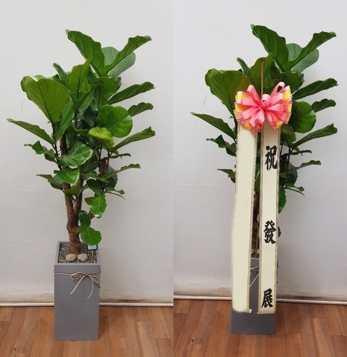 ����ȭ�� ������������