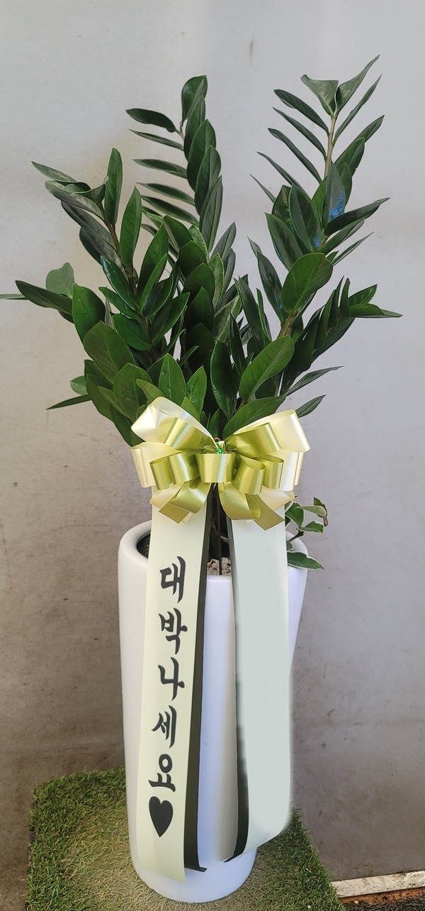 ����ȭ�� ������