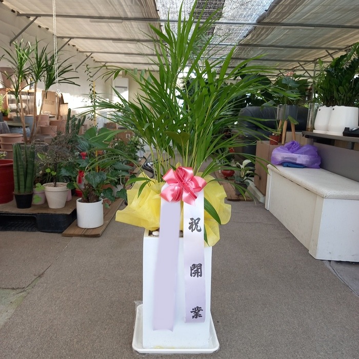 ����ȭ�� ���̺����