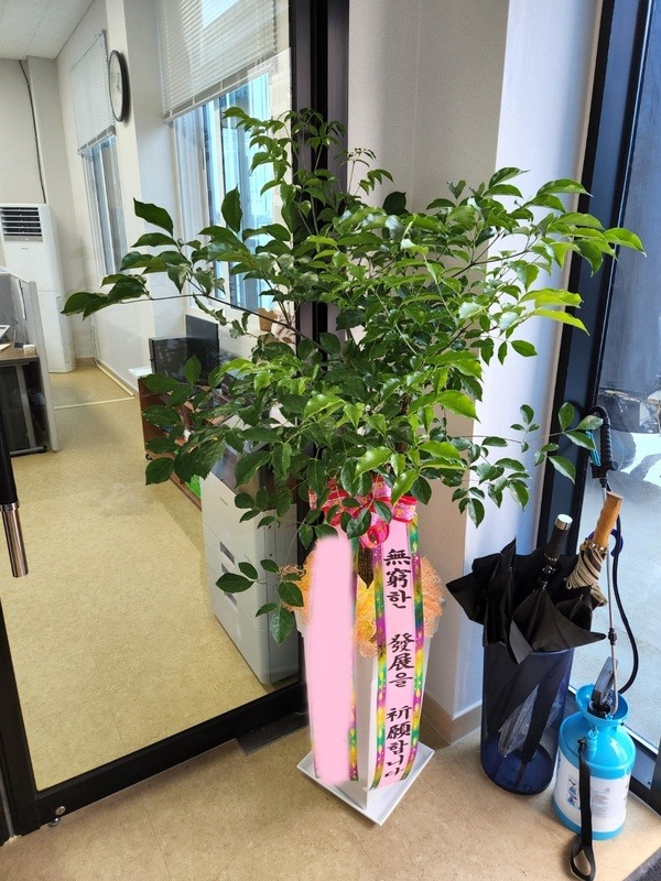 ����ȭ�� ����Ʈ��