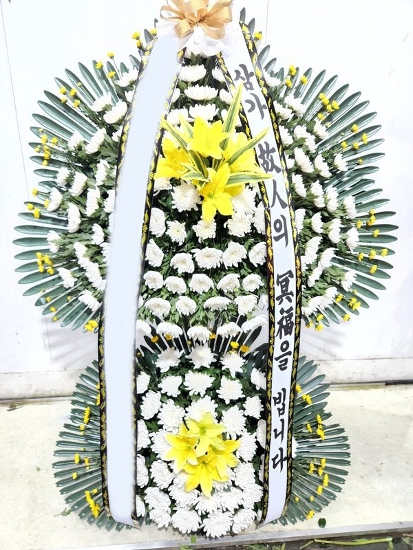 ����2�ܽ��ĵ�