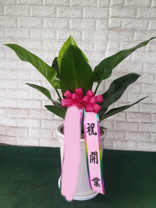 ����ȭ�� ���