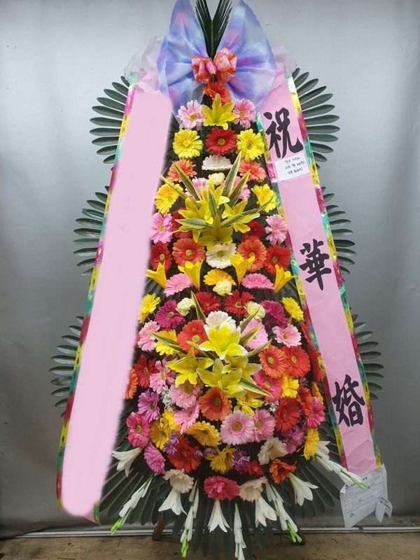 ����3��ȭȯ