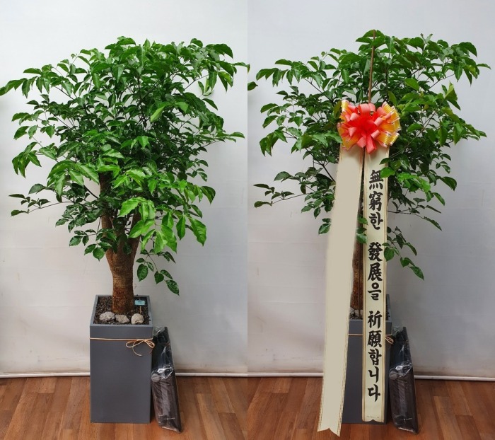 ����ȭ�� ����Ʈ��