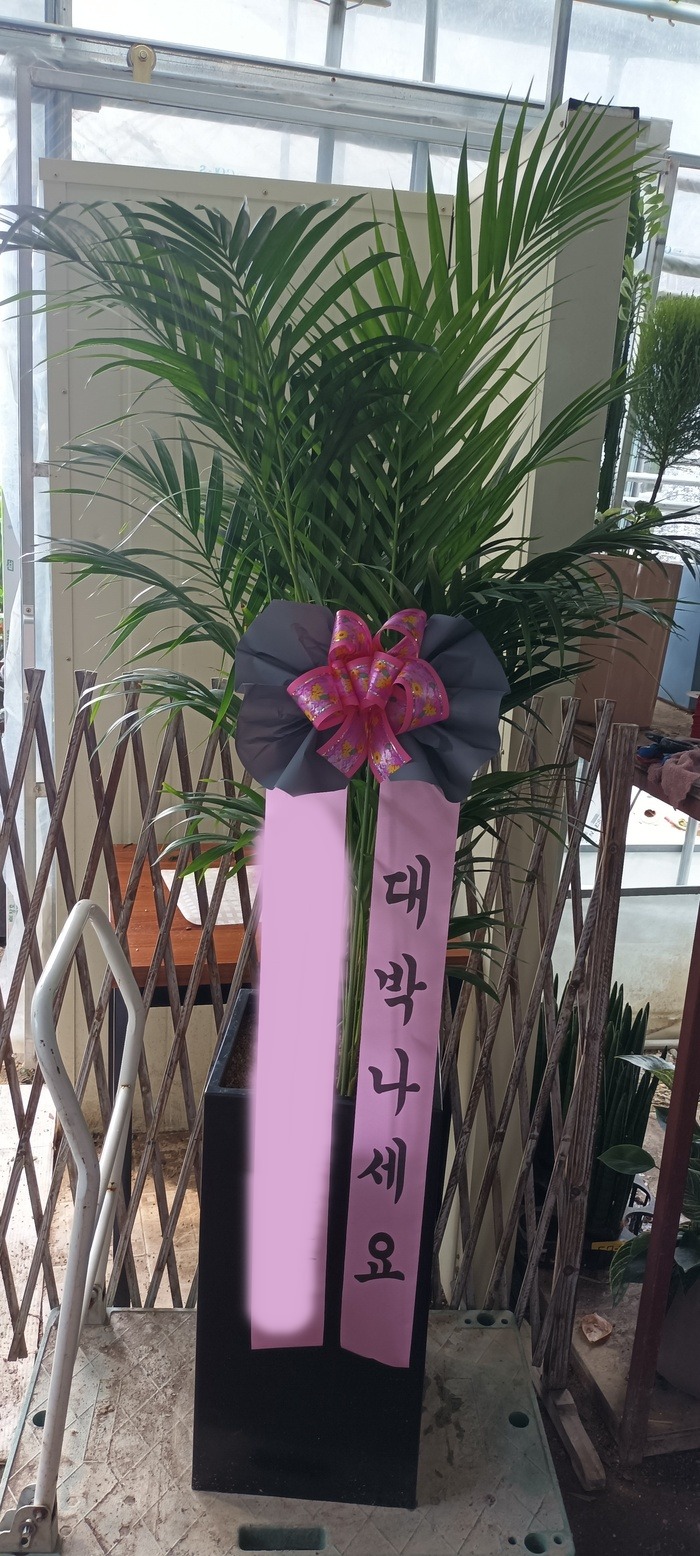 ����ȭ�� �Ʒ�ī����