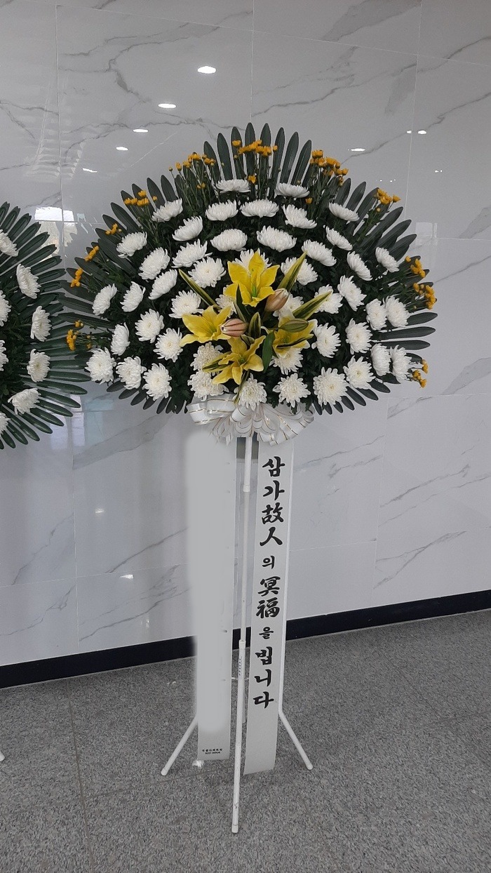 ����ȭȯ ������