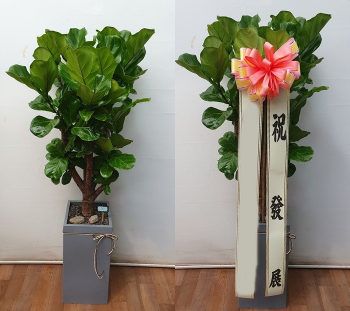 ����ȭ�� ������������