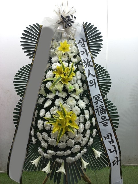 ����3��ȭȯ