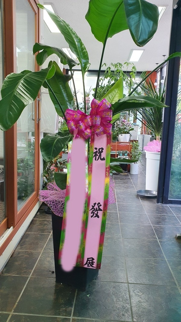 ����ȭ�� �ض���