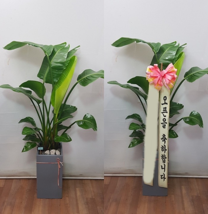 ����ȭ�� �ض���