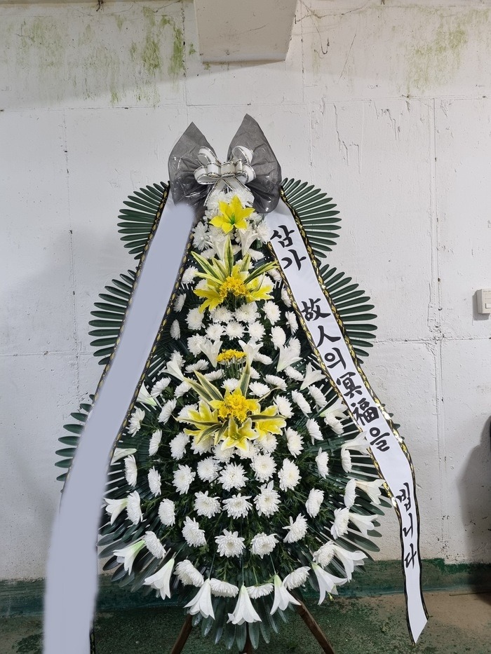 ����ȭȯ Ư��