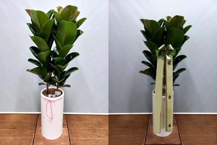 ����ȭ�� ��������