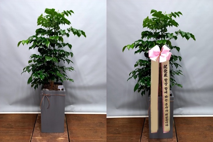 ����ȭ�� �캸��