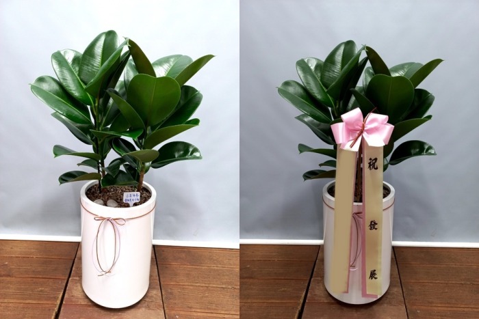 ����ȭ�� ��������