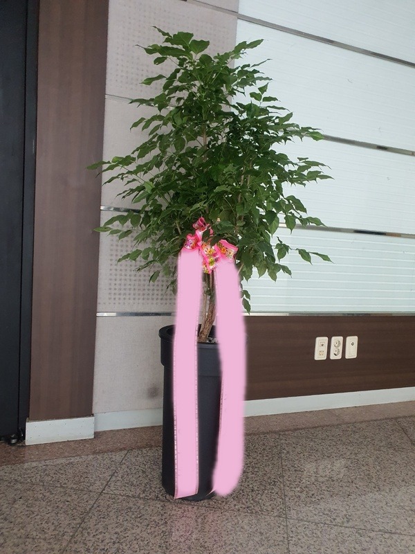 ����ȭ�� �캸��