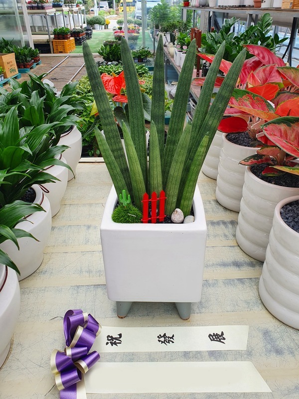 ����ȭ�� ����Ű Ź���