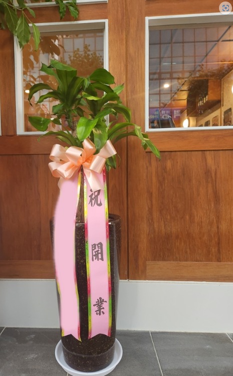 ����ȭ�� ����