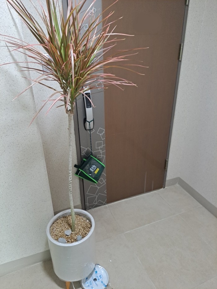 ����ȭ�� ���κ���