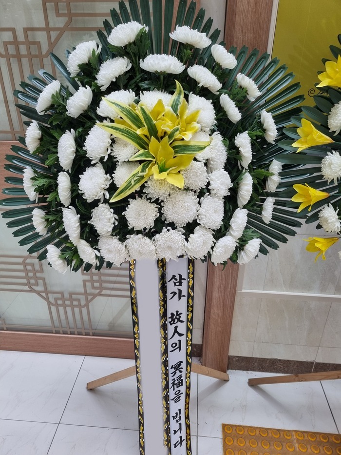 ����ȣȯ ������