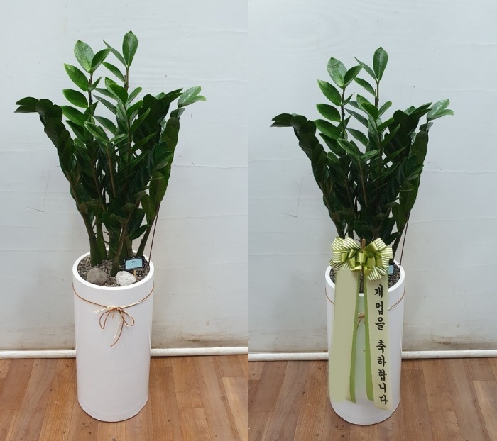 ����ȭ�� ������