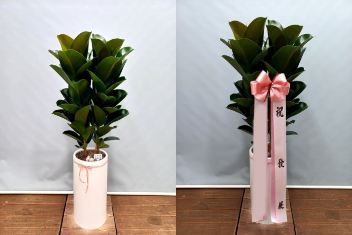 ����ȭ�� �������� ��