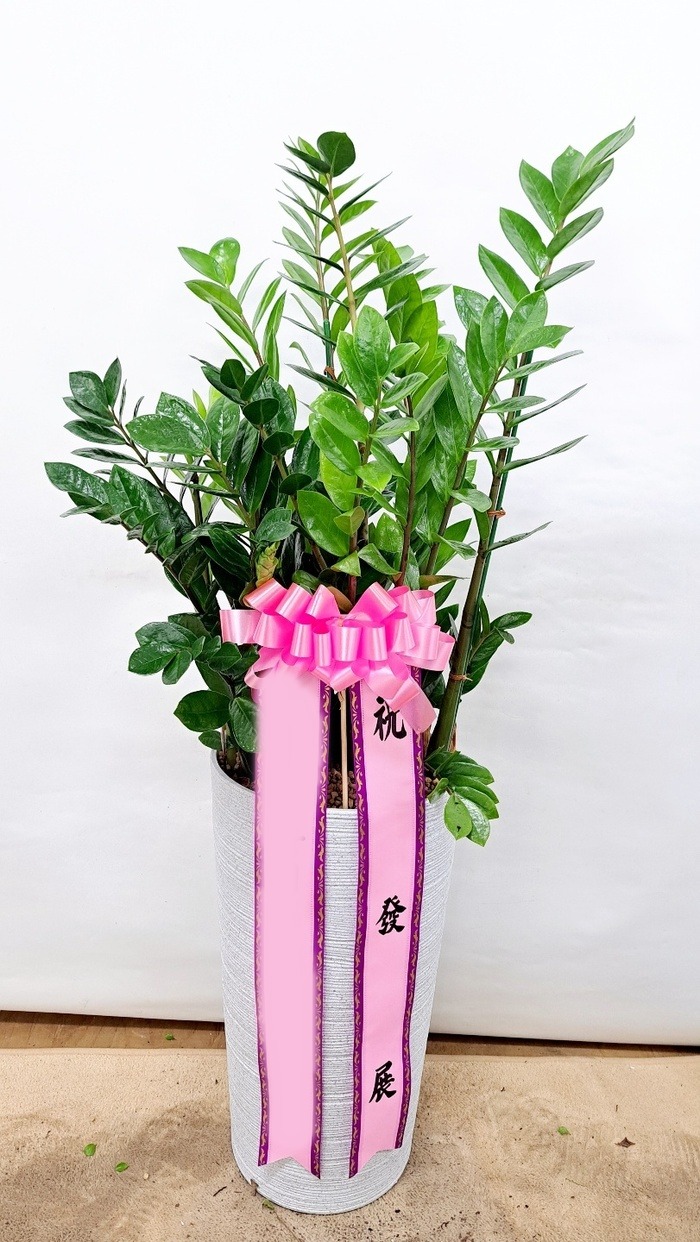 ����ȭ�� ������