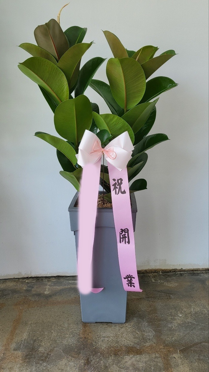 ����ȭ�� ��������