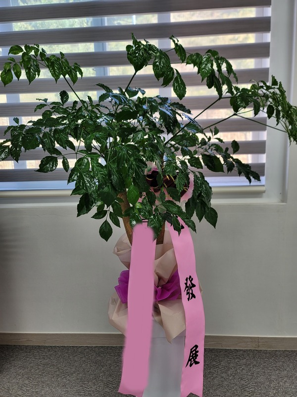 ����ȭ�� ����Ʈ��