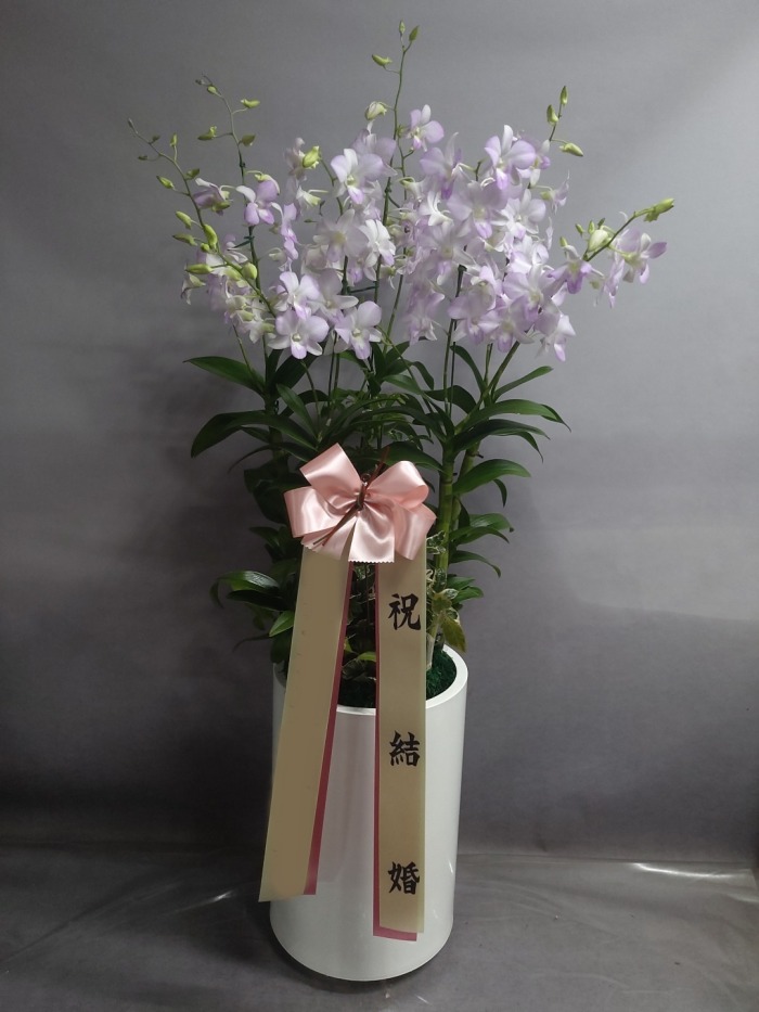 ����� ���ķ�