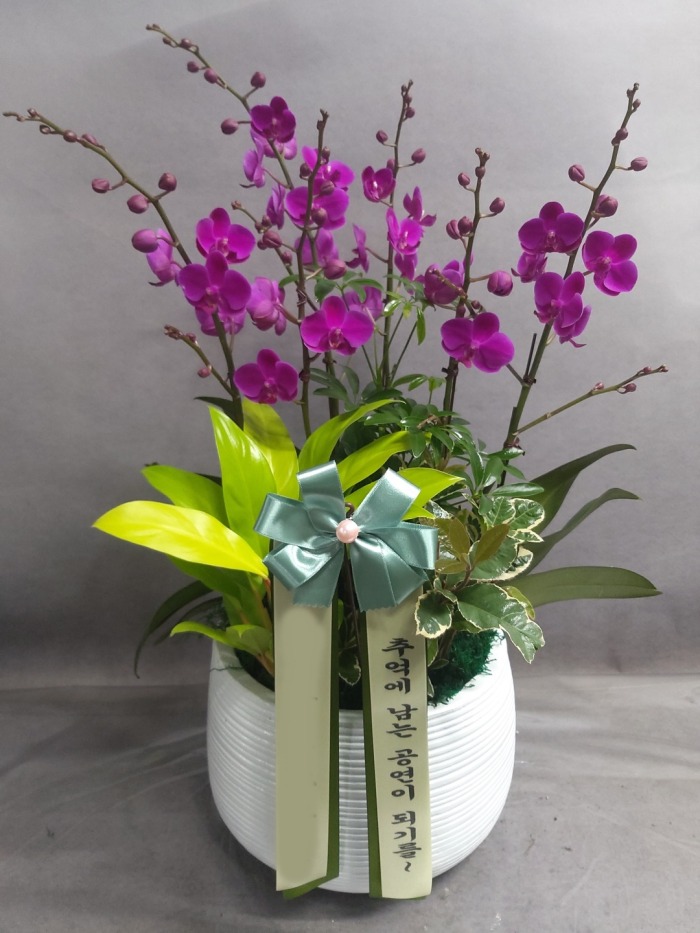 ����� �̴�ȣ��